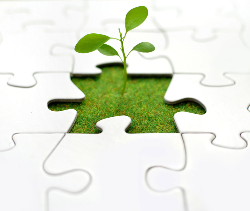 Leadership-Development-image
